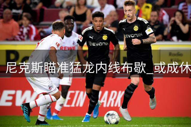 尼克斯瞄准猛龙内线布歇 或成休赛期补强选择